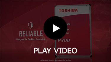 TOSHIBA Consumer Internal Hard Drives P300